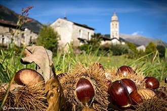 Castagnata di Migiondo