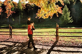 Autunno in Trentino