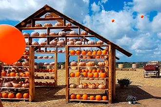 Fattoria della Zucca, Roma