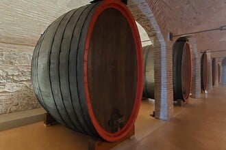 Ca' Corniani a Caorle: la cantina