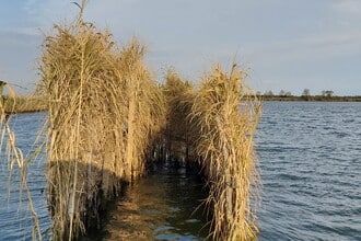 A pesca nella laguna di Caorle