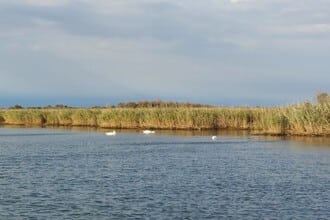 La laguna di Caorle