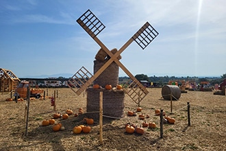 Fattoria della Zucca Sacrofano, mulino