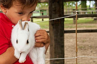 Fattoria La Principina, animali