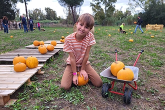 Le Zucche di Barbabianca vicino Roma, Pumpkin Patch