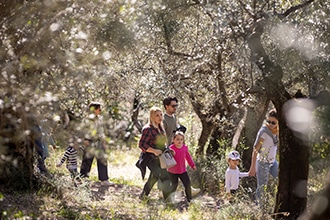 Visita ai frantoi in Umbria con i bambini