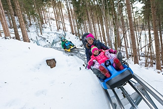 Tarvisio, bob su rotaia