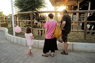 FICO Bologna con bambini, fattoria