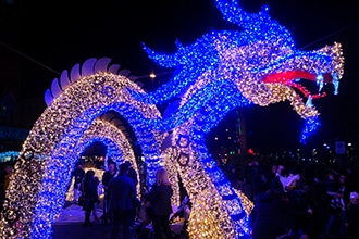 Gaeta luminarie, drago