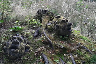 Foresta dei Troll a Lauvlia