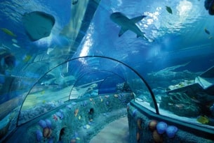 Gardaland Sea Life coi bambini