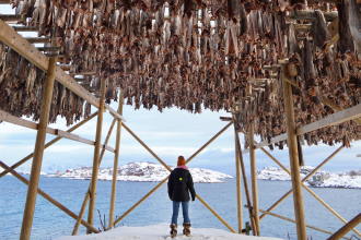 La pesca del merluzzo Lofoten