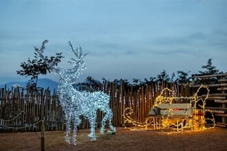 Inizio gennaio a Bioparco Zoom Torino