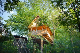 Casa sull'albero lago di Bled Slovenia
