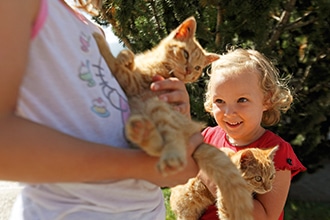 Coccole con i cuccioli ai masi Gallo Rosso in Alto Adige