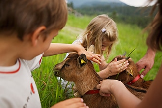 Coccole con i cuccioli ai masi Gallo Rosso in Alto Adige