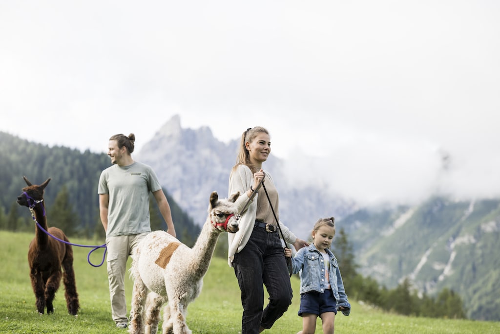Family Resort Rainer a Sesto, fattoria didattica, alpaca