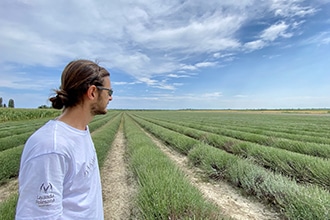 Campi di Lavanda Polesana