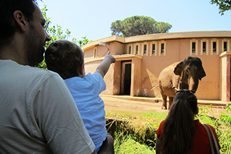 Al Bioparco con bambini piccoli 0-3 anni