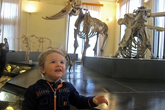 Il Museo Civico di Zoologia con bambini