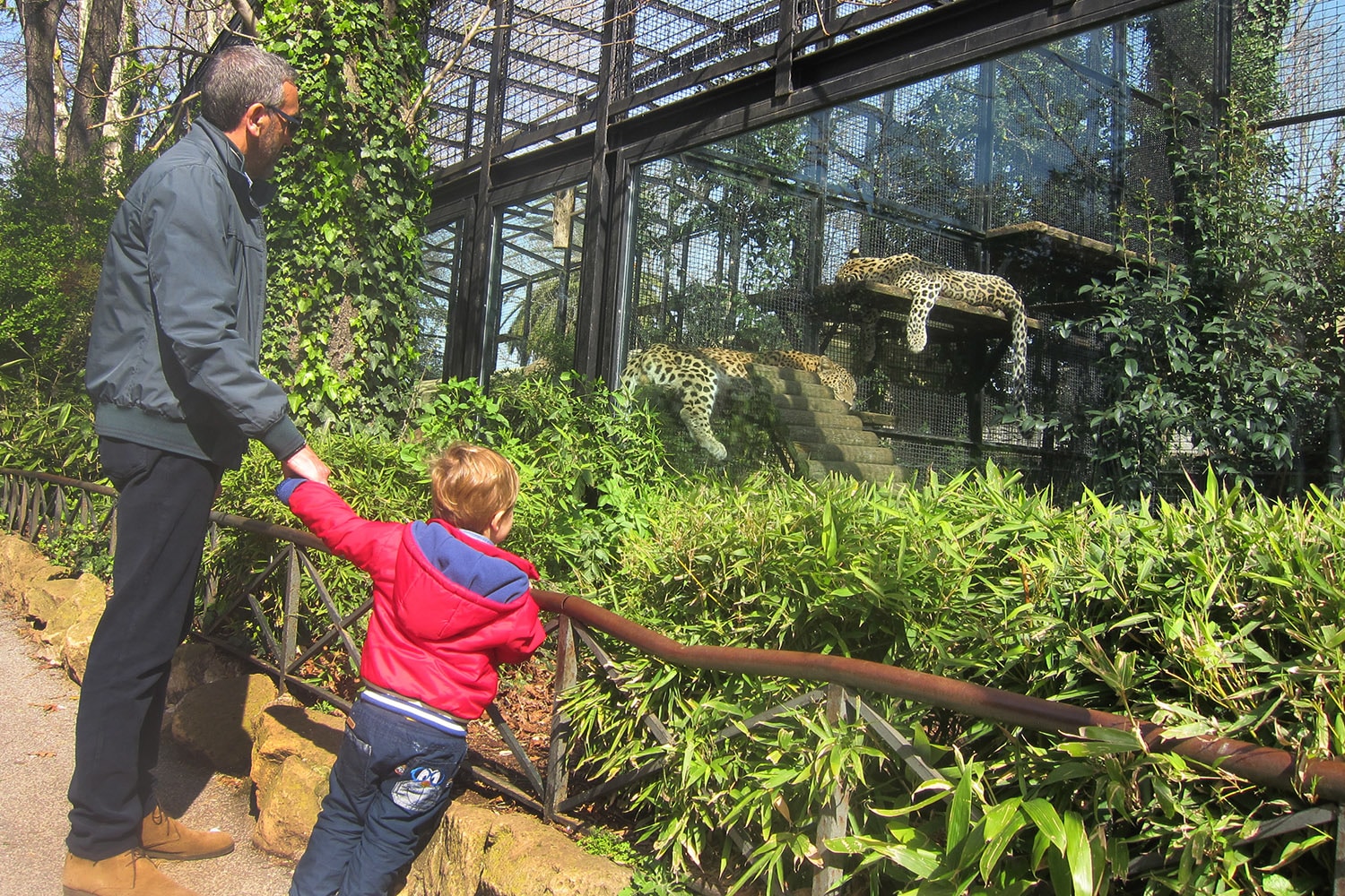 Al Bioparco di Roma con bambini piccoli