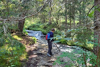 Val di Non, sentiero per il Lago di Tret