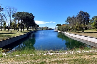 Isola di Albarella, natura