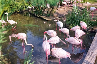 Lignano Sabbiadoro, Parco Zoo Punta Verde