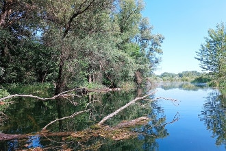 scorcio sul fiume Ticino, Nido nel Parco, Vigevano