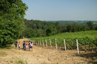 Le colline di Asti