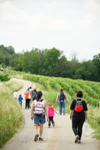 experience per famiglie "Le Colline del mare"