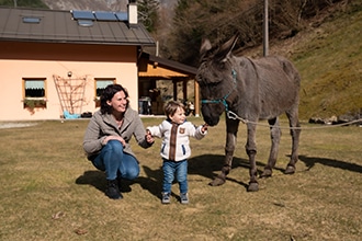 Attività in Fattoria Didattica