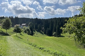 Asiago-Villaggiodeglignomibosco-crediti-Grotto