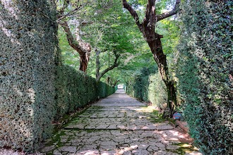 Giardino-di-Valsanzibio-Foto-Devid-Rotasperti (2)