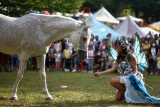 Festa degli Gnomi di Roccaraso, unicorni