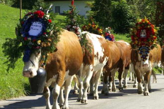 Festa della transumanza Val Ridanna