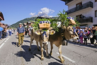 Gran Festa del Desmontegar 