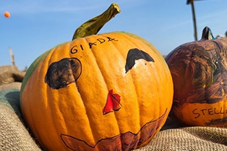 Fattoria della Zucca Sacrofano, laboratorio di pittura