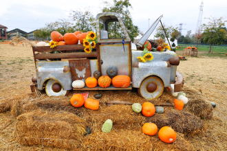 Mercatino delle zucche Agricola delle meraviglie 