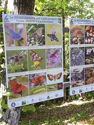 Sentiero del Castagno e biodiversità al Maneggio Casetta in Mugello