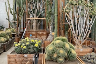 Principato di Monaco con bambini - Centro botanico - Serre del Jardin Exotique