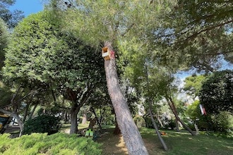 Principato di Monaco con bambini - Giardini Saint Martin - Case sugli alberi degli uccelli