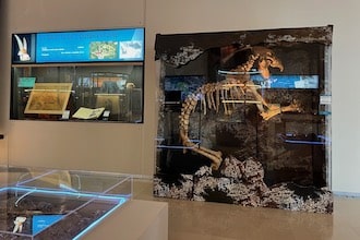 Principato di monaco con bambini: Museo di Antropologia Preistorica