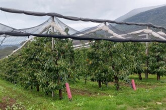 Azienda Agricola Bresaola a Caprino Veronese