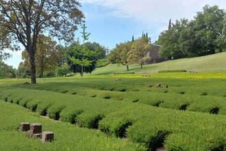 Il Cimitero Tedesco di Costermano sul Cammino del Bardolino (VR)