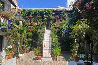 Cosa vedere a Cordoba, Palacio de VIana, Barrio San Basilio