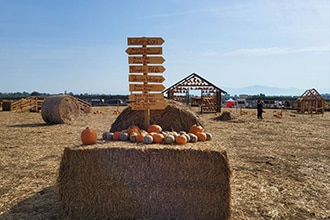 Fattoria della Zucca Sacrofano, Roma, ingresso