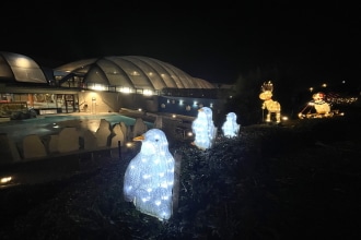 Acquaworld decorazioni luminose