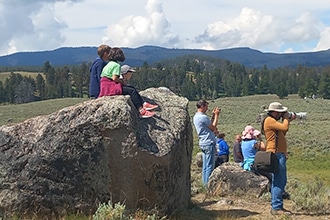 Parco Yellowstone, appostamenti