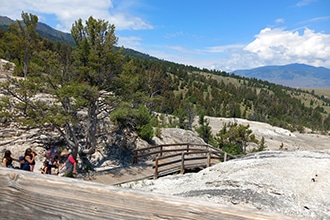 Parco Yellowstone, 